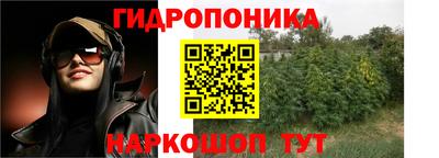 ешки Краснодар