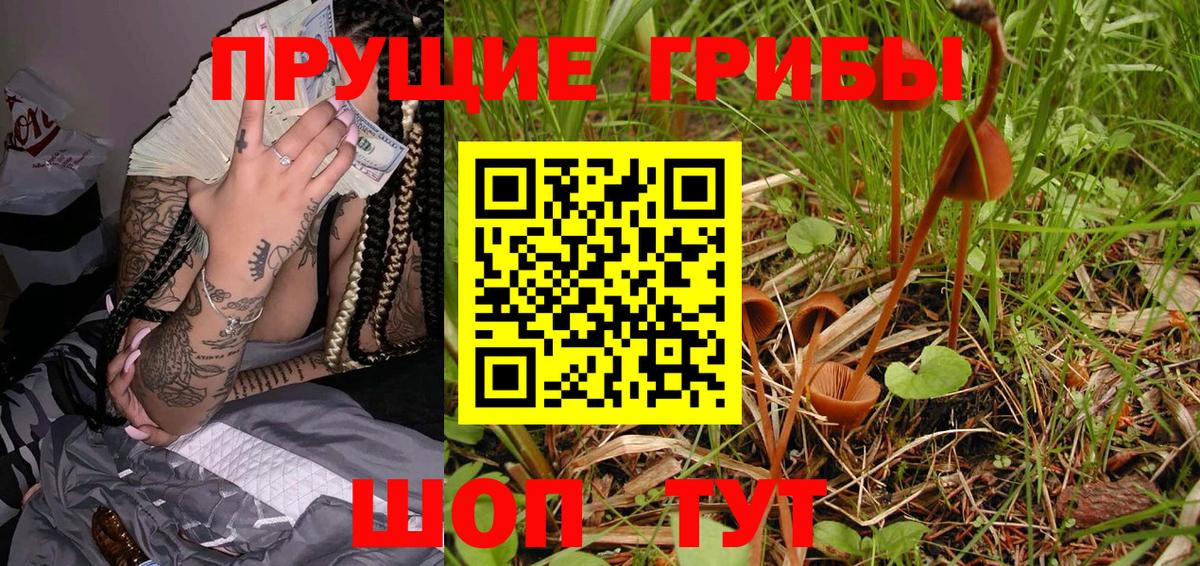Псилоцибиновые грибы Psilocybe  Псилоцибиновые грибы MAGIC MUSHROOMS  Вход с VPN  Донской 